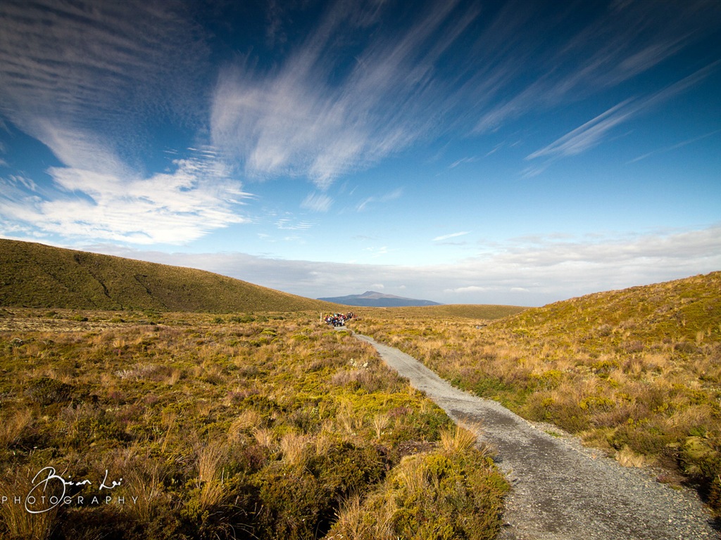 新西蘭北島美麗的風景，Windows 8 主題壁紙 #4 - 1024x768