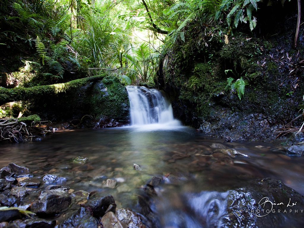 Nouvelle-Zélande Île du Nord de beaux paysages, Windows 8 fonds d'écran thématiques #8 - 1024x768