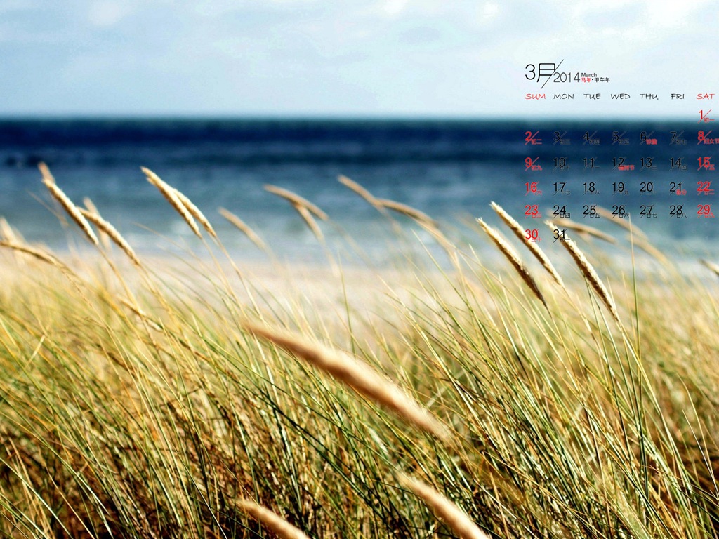 2014年3月 月曆壁紙(一) #5 - 1024x768