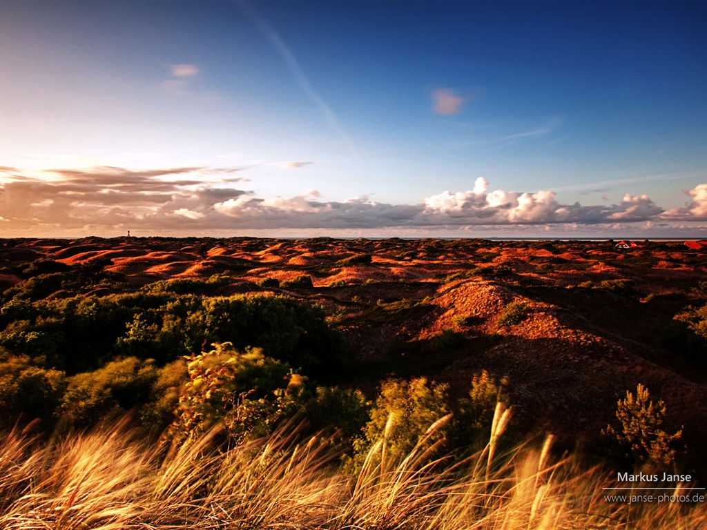 Spiekeroog 施皮克奧格島風景，Windows 8 主題壁紙 #3 - 1024x768