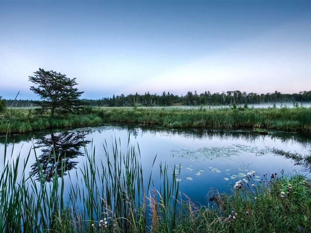 Réflexion dans le fond d'un paysage naturel de l'eau #11 - 1024x768