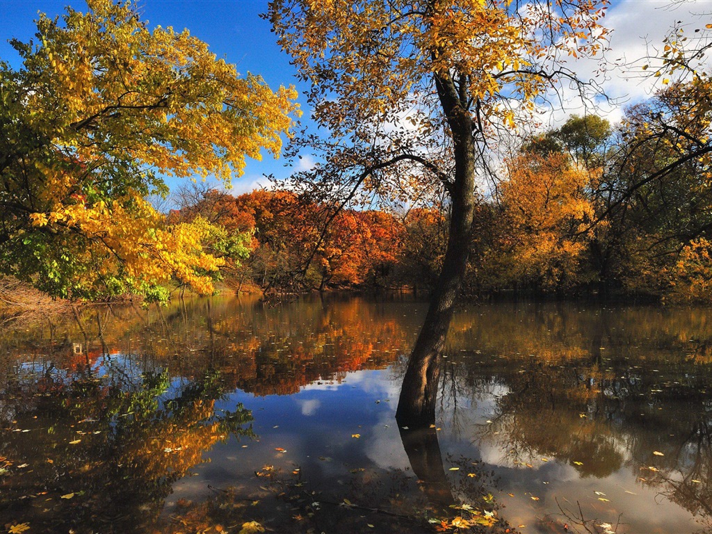 Réflexion dans le fond d'un paysage naturel de l'eau #14 - 1024x768