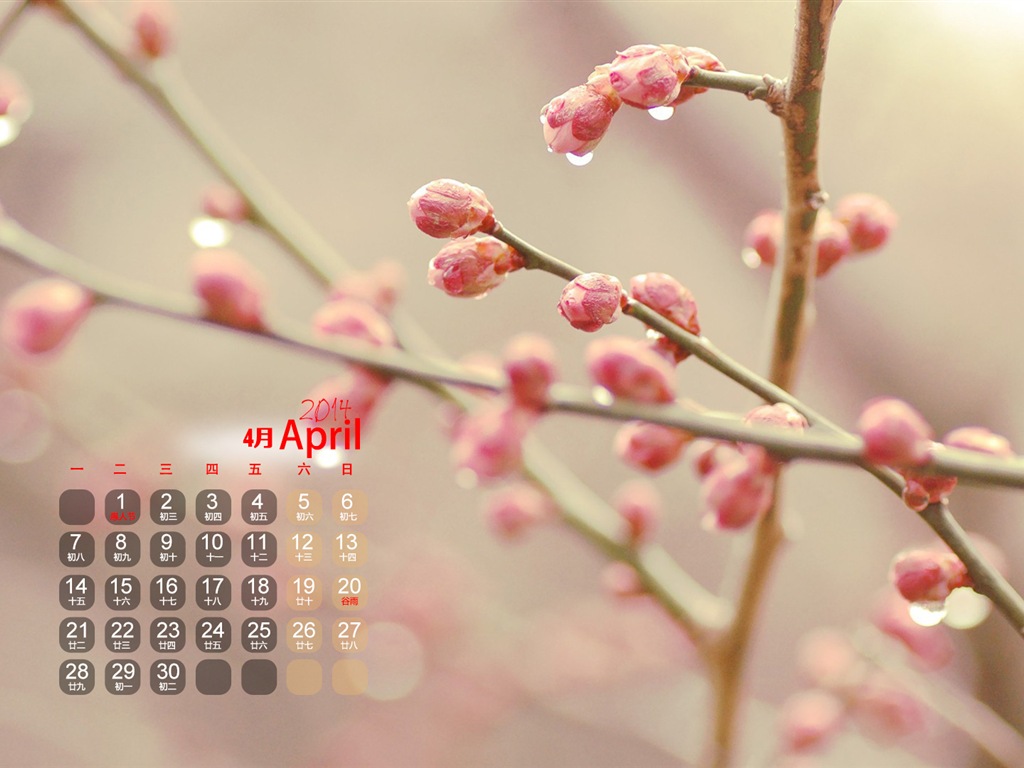2014年4月 月曆壁紙(一) #3 - 1024x768
