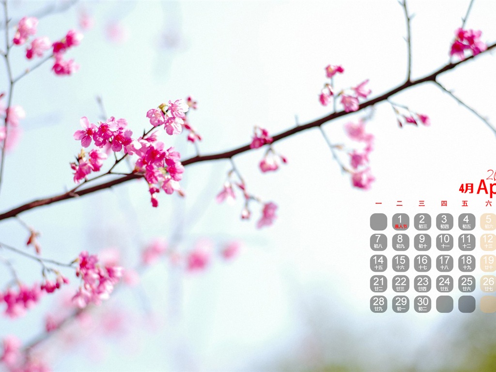 2014年4月 月曆壁紙(一) #4 - 1024x768
