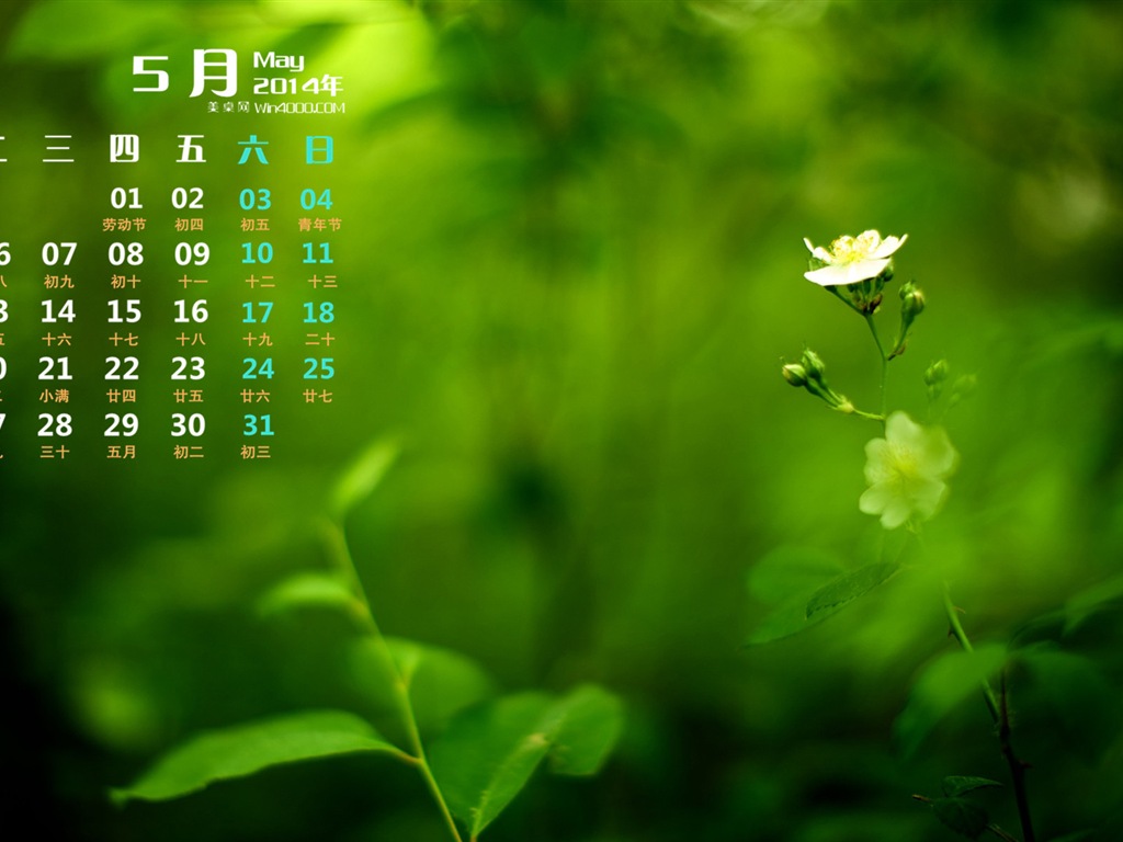 2014年5月 月历壁纸(一)4 - 1024x768