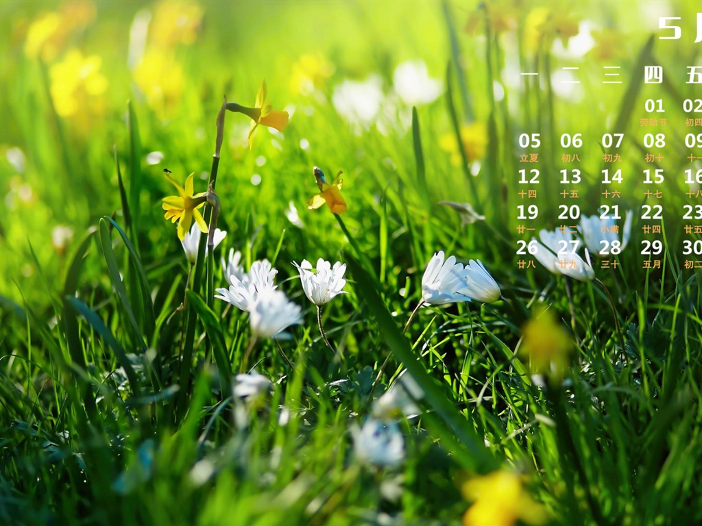 2014年5月 月曆壁紙(一) #8 - 1024x768