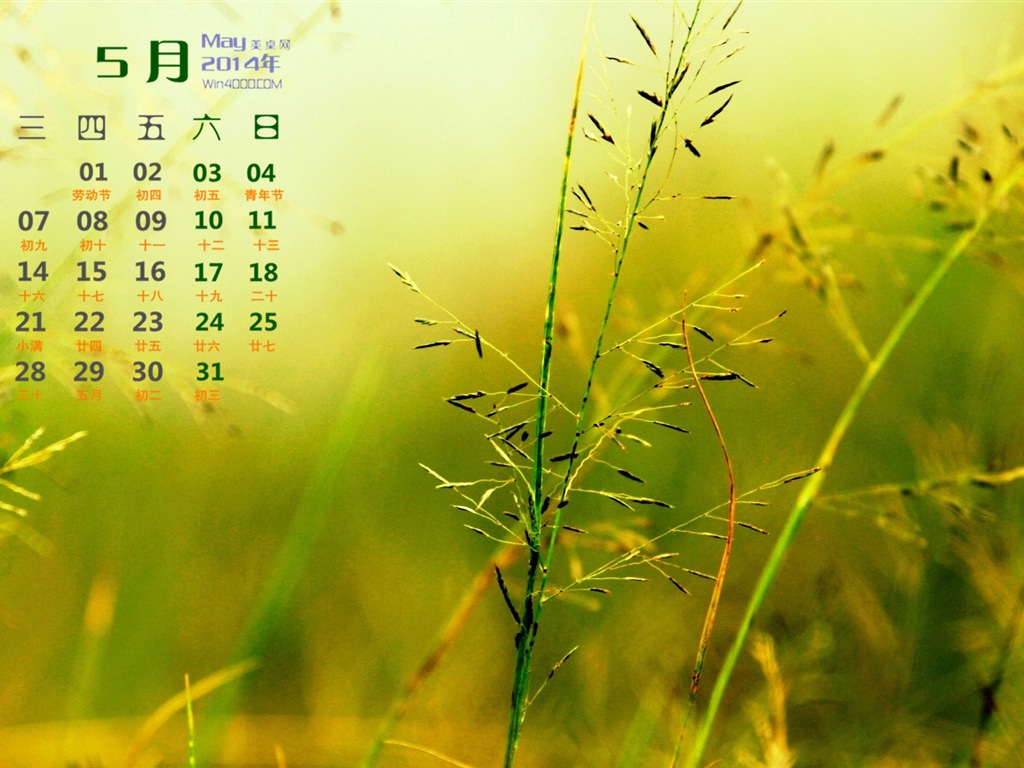 2014年5月 月历壁纸(一)9 - 1024x768