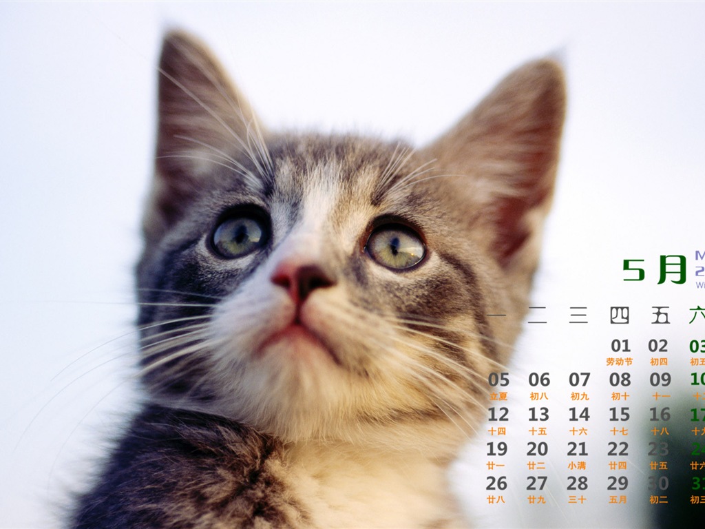 2014年5月 月曆壁紙(一) #13 - 1024x768