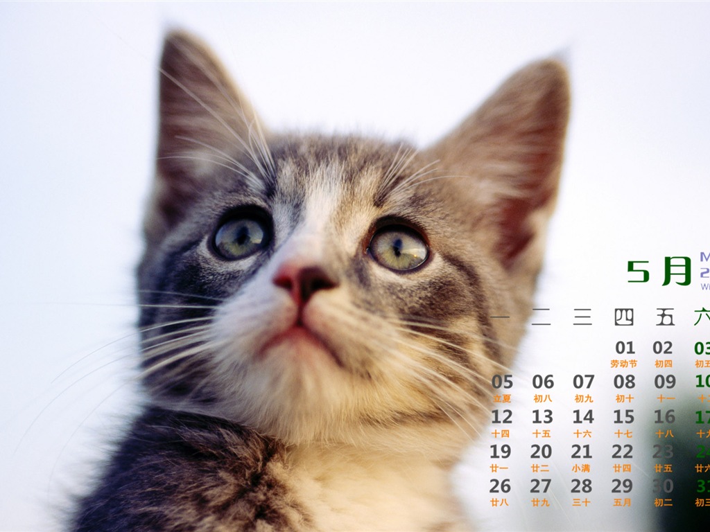 May 2014 calendar wallpaper (1) #13 - 1024x768