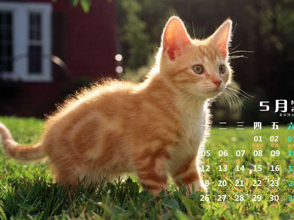 2014年5月 月曆壁紙(一) #14 - 1024x768