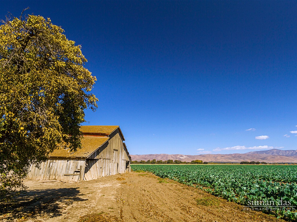 Californie paysages côtiers, Windows 8 fonds d'écran thématiques #4 - 1024x768