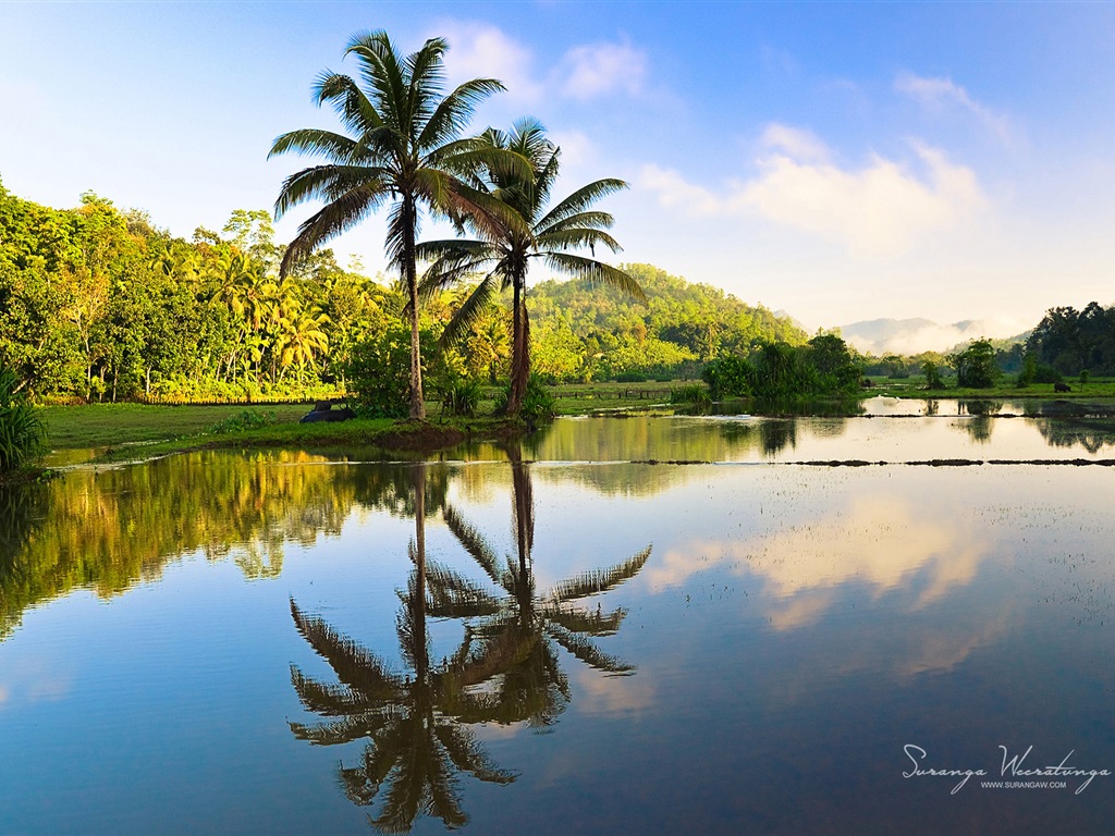 Estilo de paisaje Sri Lanka, Windows 8 tema fondos de pantalla #11 - 1024x768