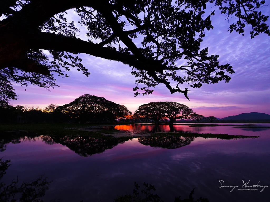 Sri Lanka style de paysage, Windows 8 fonds d'écran thématiques #12 - 1024x768