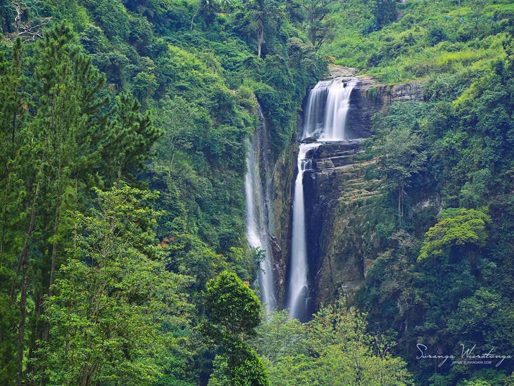 Sri Lanka style de paysage, Windows 8 fonds d'écran thématiques #13 - 1024x768