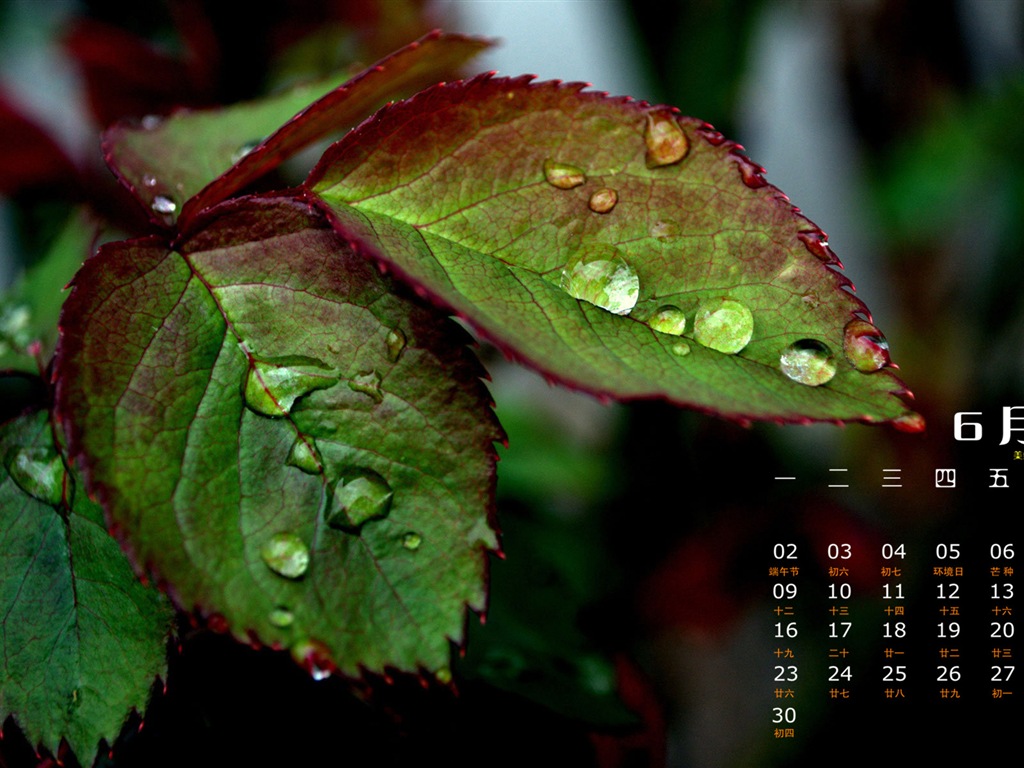 June 2014 calendar wallpaper (1) #5 - 1024x768