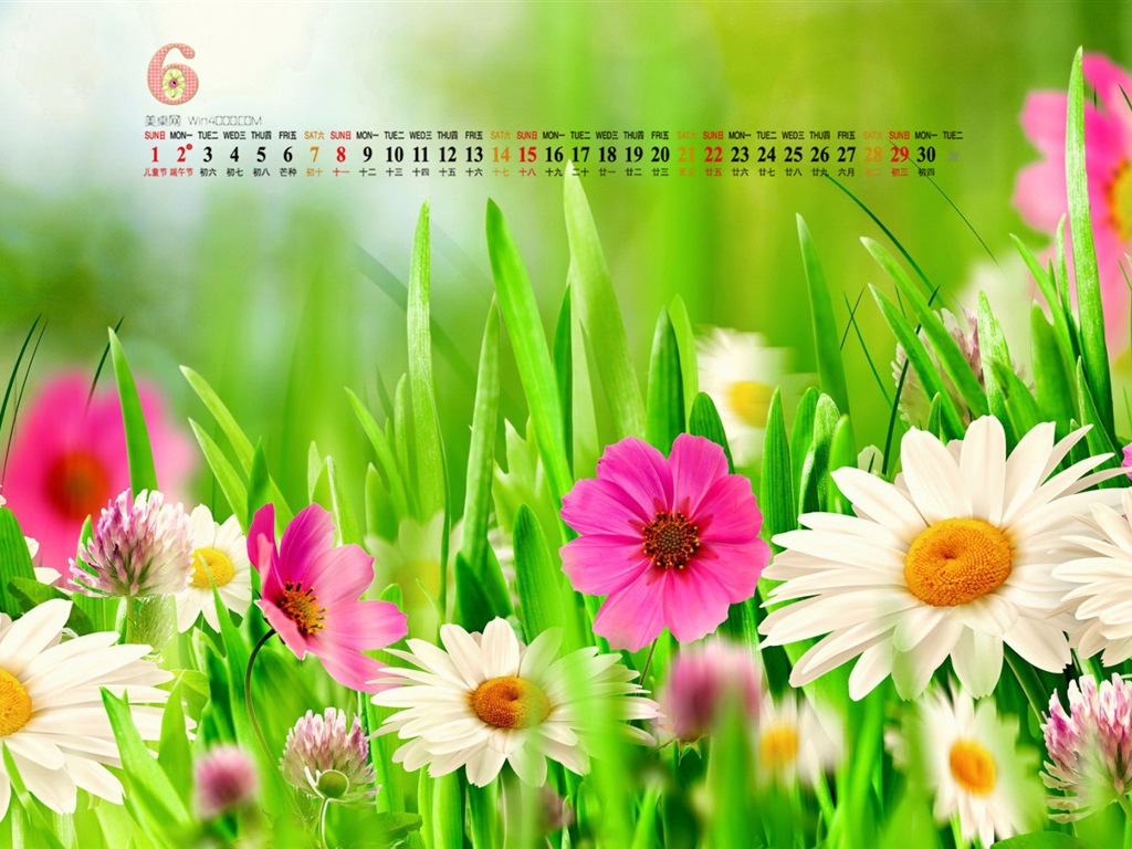 2014年6月 月曆壁紙(一) #7 - 1024x768