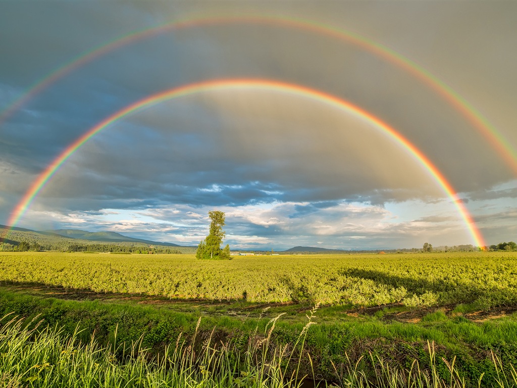 Schöner Regenbogen Landschaft HD Wallpaper #1 - 1024x768