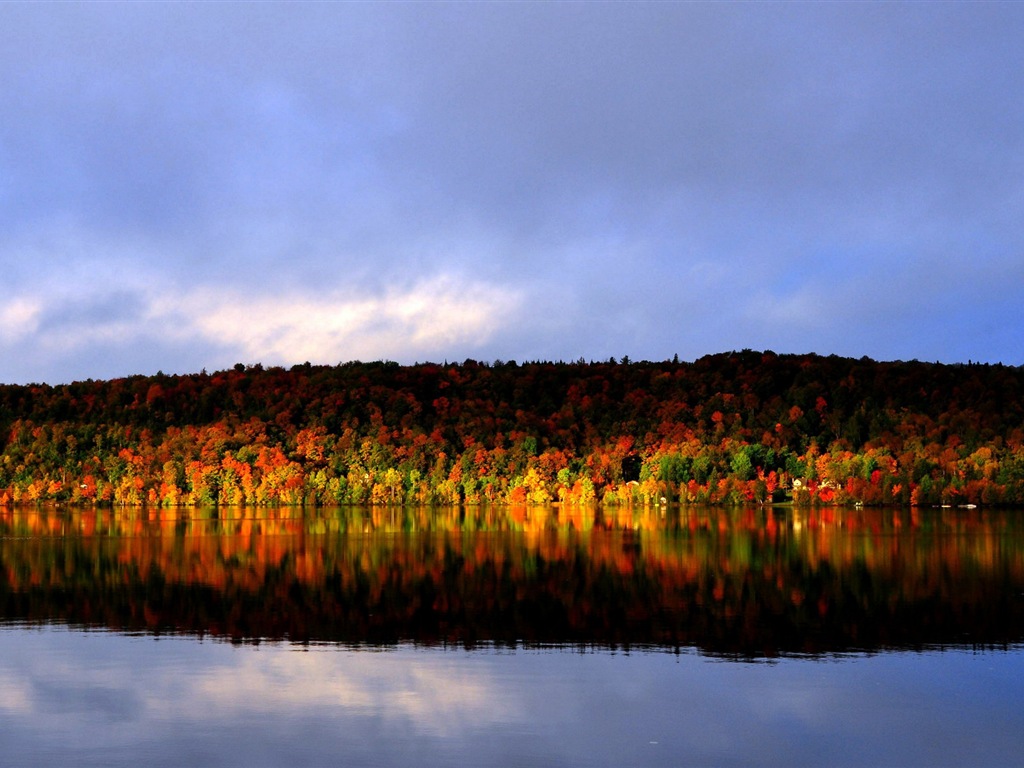 Voda a stromy v podzimních HD tapety na plochu #3 - 1024x768