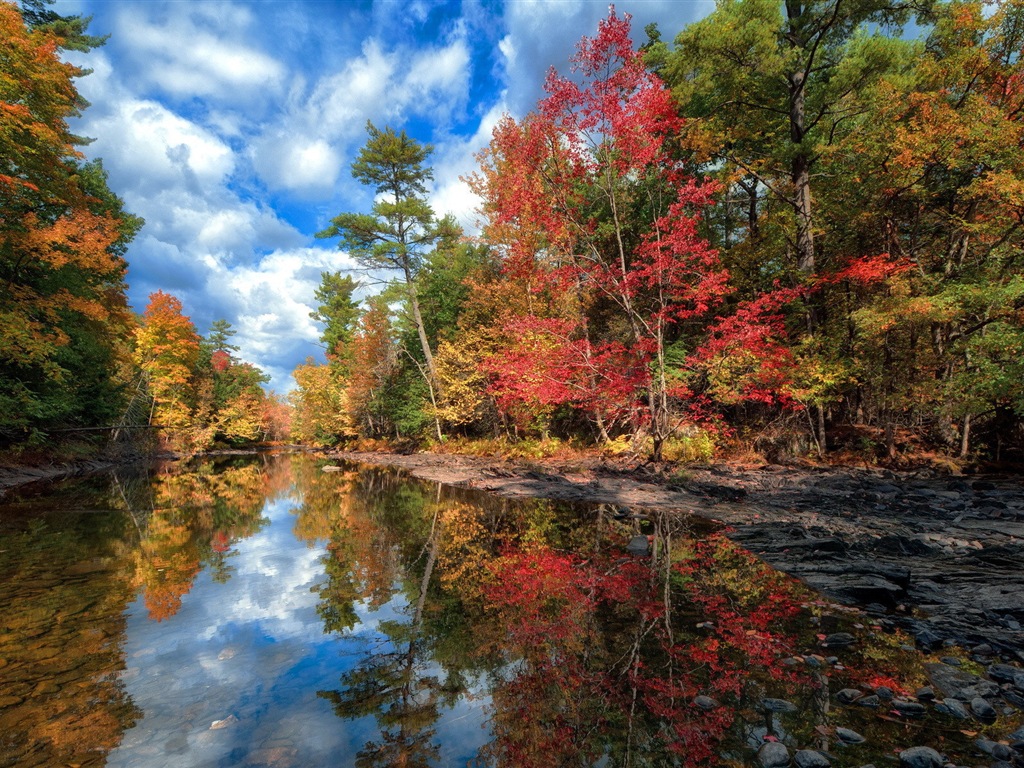 秋天的水和树 高清壁纸4 - 1024x768