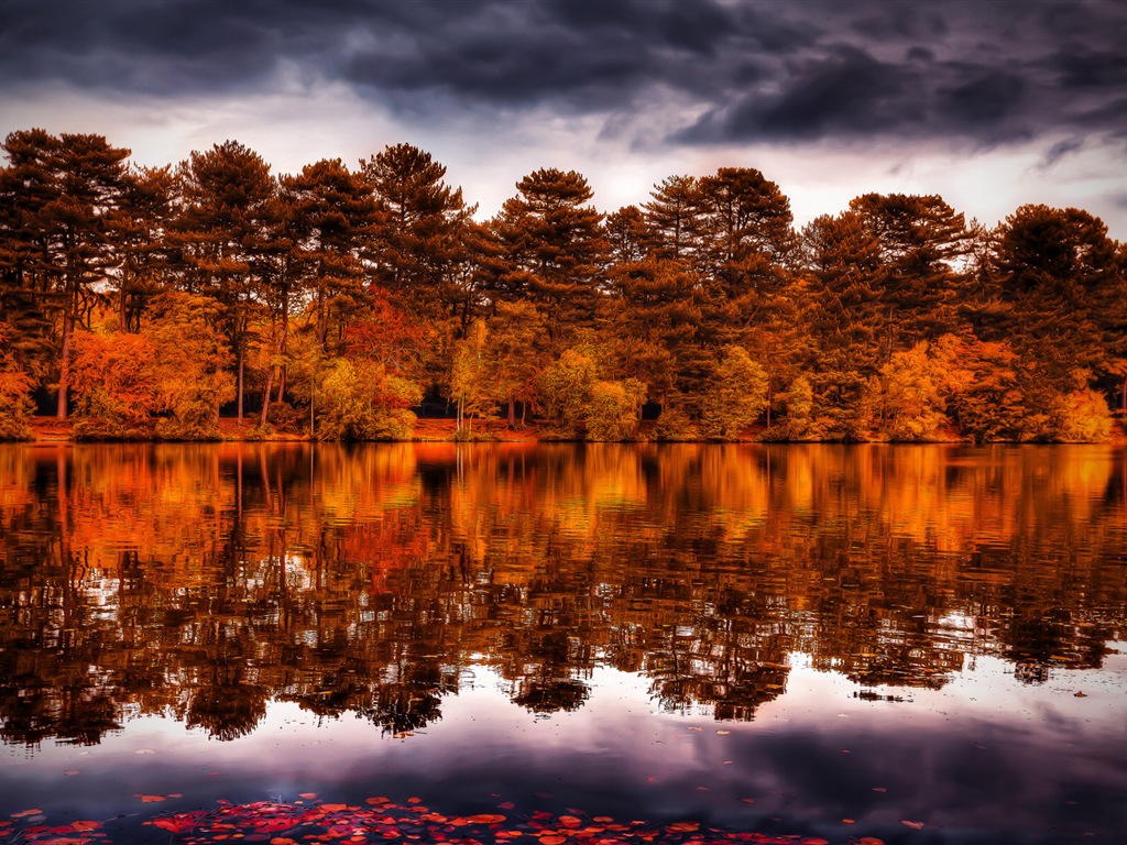 秋天的水和树 高清壁纸13 - 1024x768
