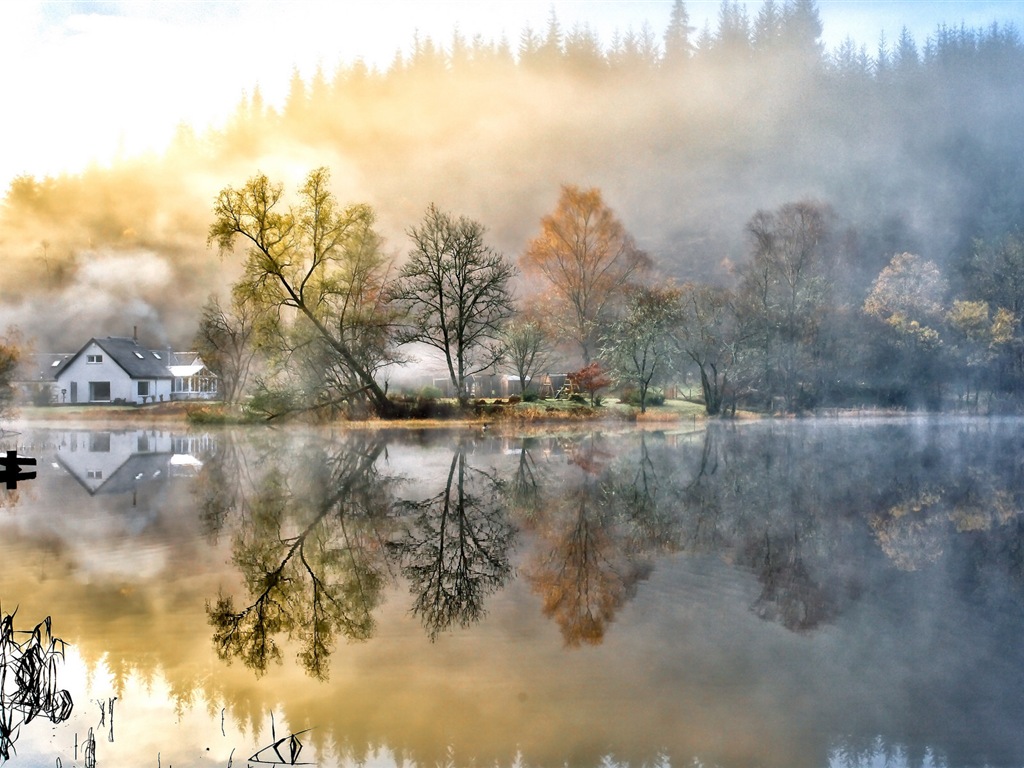 Foggy autumn leaves and trees HD wallpapers #5 - 1024x768