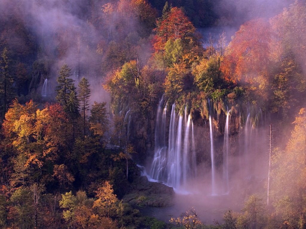 Hojas de otoño de niebla y los árboles fondos de pantalla de alta definición #11 - 1024x768