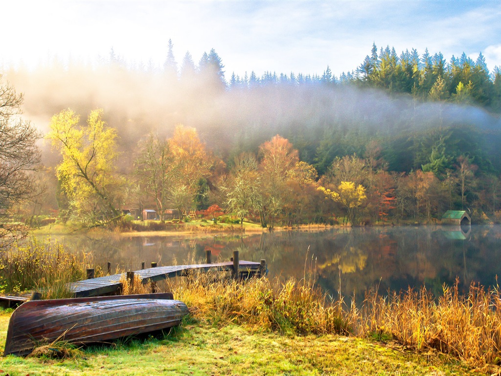 Foggy podzimní listí a stromy HD Tapety na plochu #14 - 1024x768