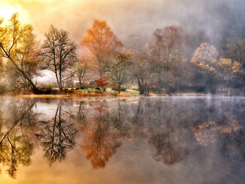 霧的秋天，紅葉樹木，高清壁紙 #15 - 1024x768