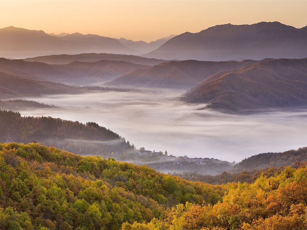 雾的秋天，红叶树木，高清壁纸16 - 1024x768