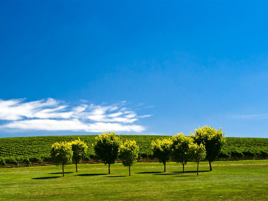 Verano tranquilo, fondos de pantalla de Windows 8 tema de HD #12 - 1024x768