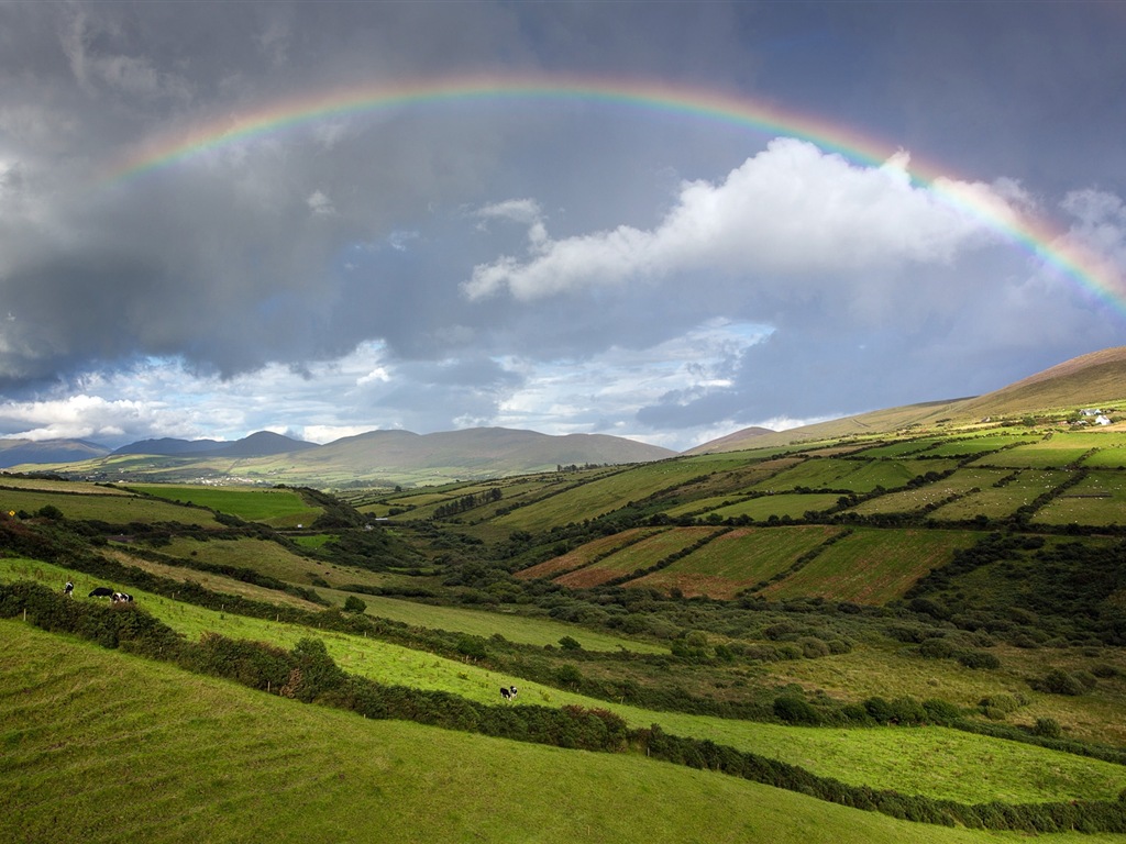 Été calme, fonds d'écran Windows 8 thème HD #17 - 1024x768