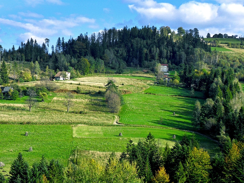 Été calme, fonds d'écran Windows 8 thème HD #18 - 1024x768