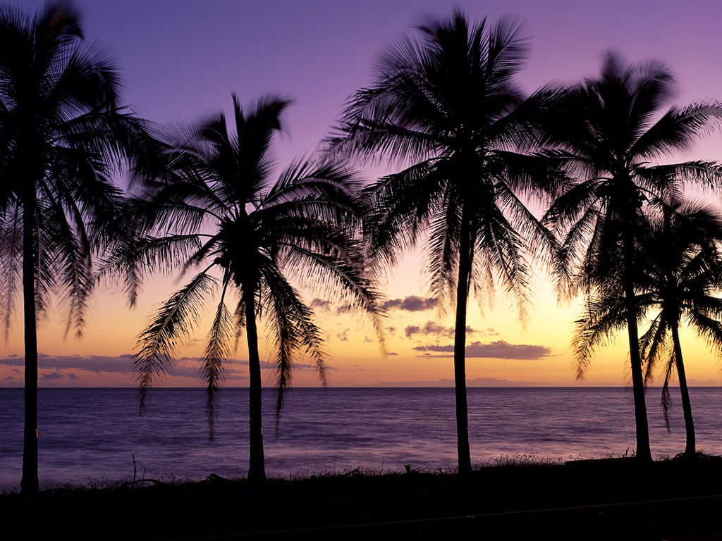 美しいビーチの夕日、Windows 8のパノラマワイドスクリーンの壁紙 #1 - 1024x768
