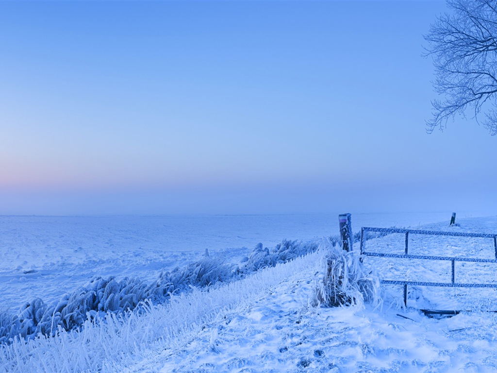 寒冷冬天美丽的雪景，Windows 8 全景宽屏壁纸2 - 1024x768