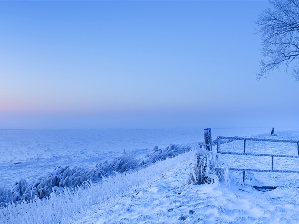 寒冷冬天美麗的雪景，Windows 8 全景寬屏壁紙 #2 - 1024x768