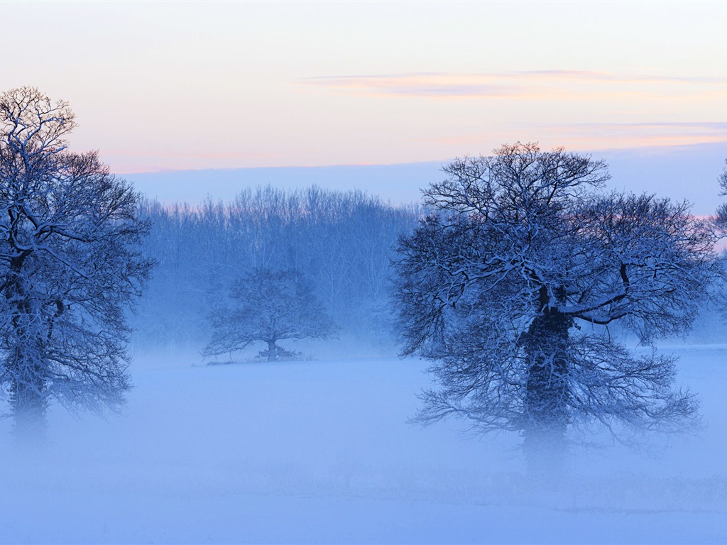 美しい寒い冬の雪、Windows 8のパノラマワイドスクリーンの壁紙 #6 - 1024x768