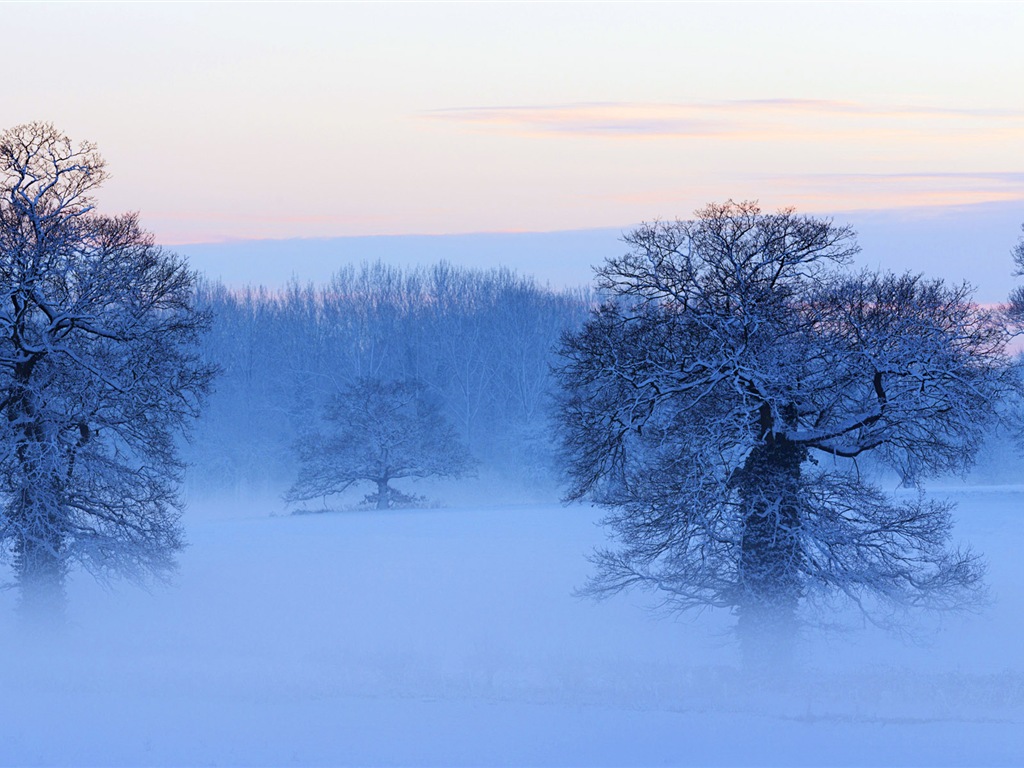 寒冷冬天美麗的雪景，Windows 8 全景寬屏壁紙 #6 - 1024x768