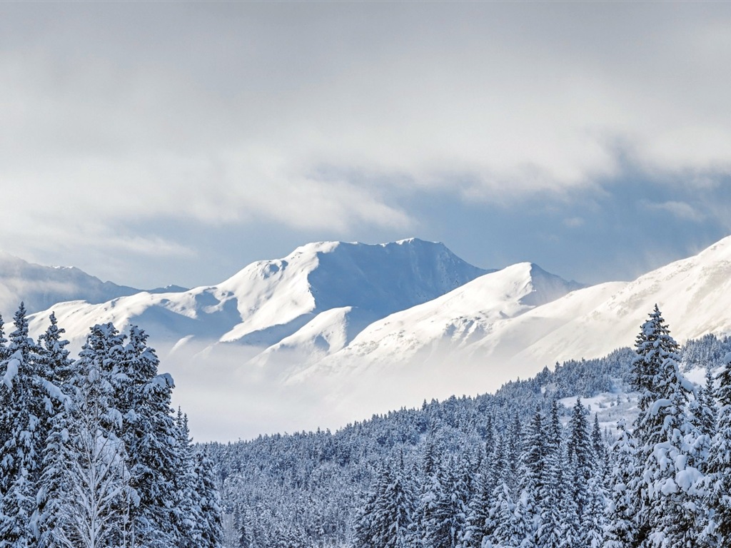 Belle neige froide d'hiver, de Windows 8 fonds d'écran widescreen panoramique #9 - 1024x768