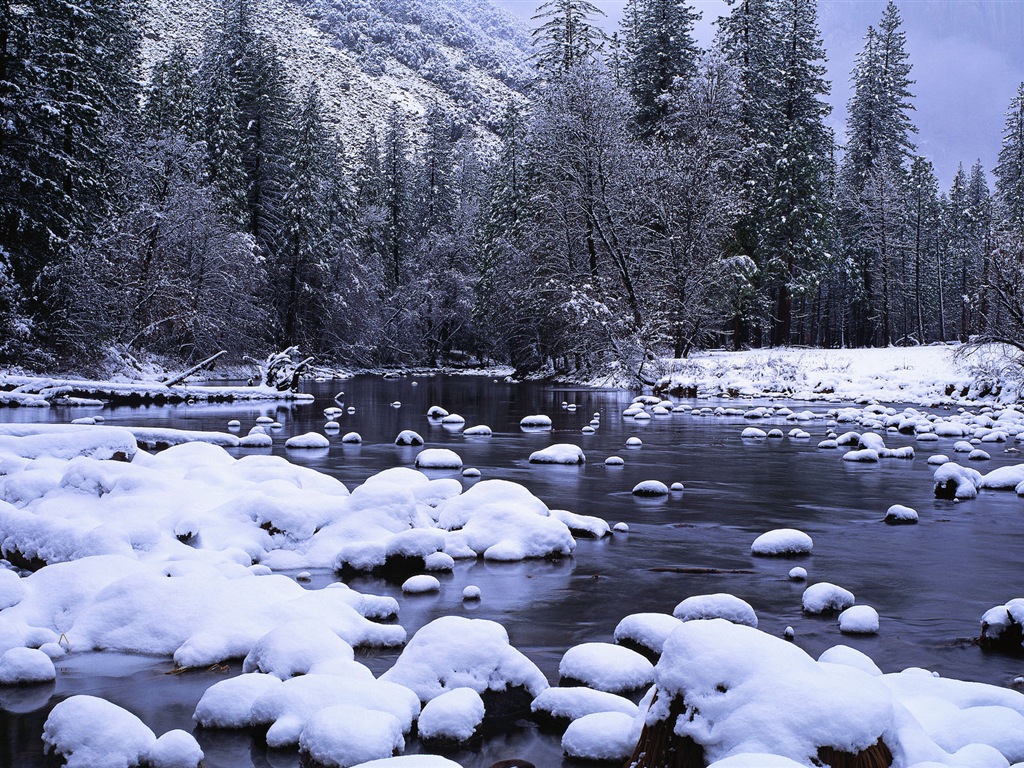 寒冷冬天美麗的雪景，Windows 8 全景寬屏壁紙 #10 - 1024x768