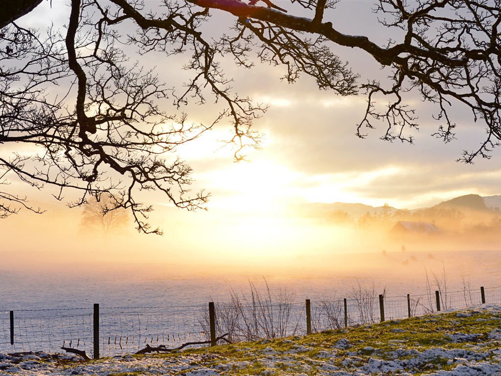 Schöne kalten Winter Schnee, Windows 8 Panorama-Widescreen-Wallpaper #11 - 1024x768