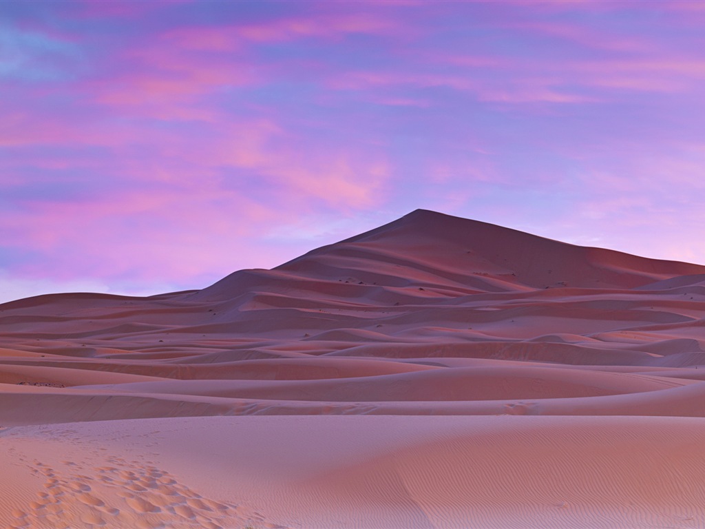 뜨겁고 건조한 사막, 윈도우 8 파노라마 와이드 스크린 배경 화면 #1 - 1024x768