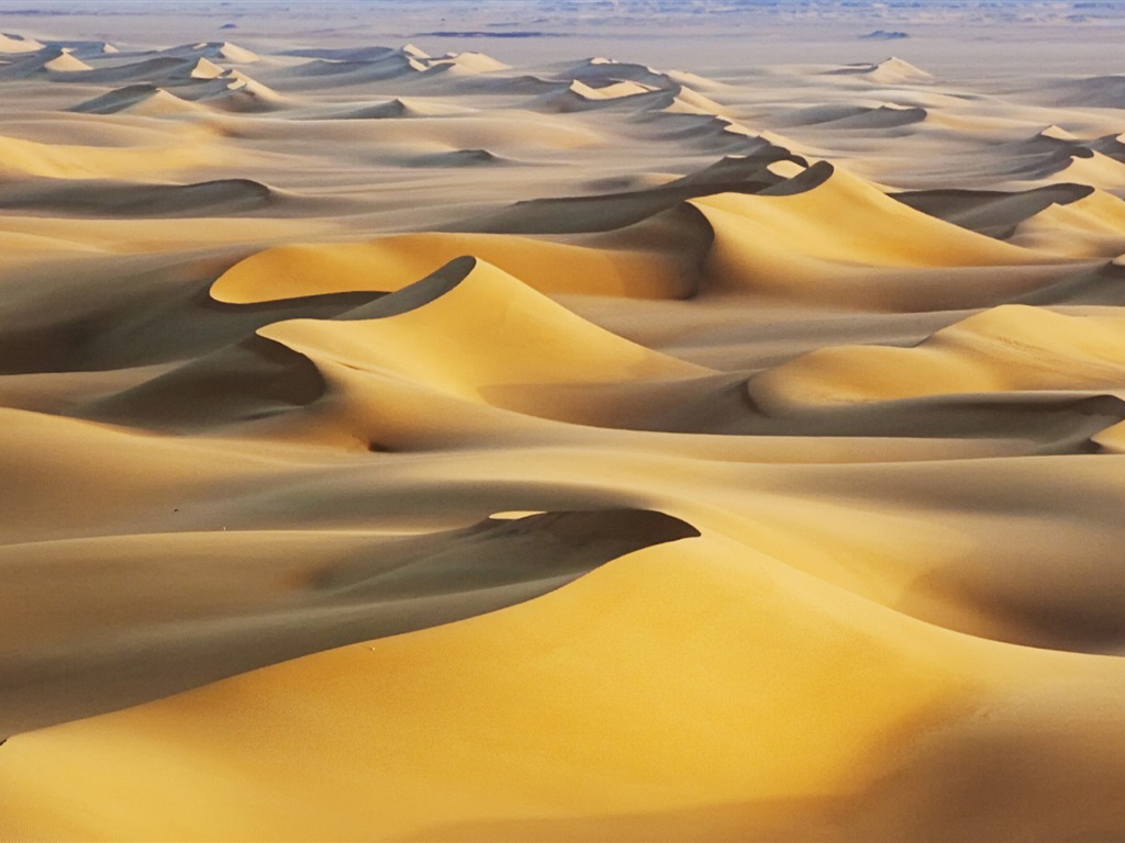 뜨겁고 건조한 사막, 윈도우 8 파노라마 와이드 스크린 배경 화면 #4 - 1024x768