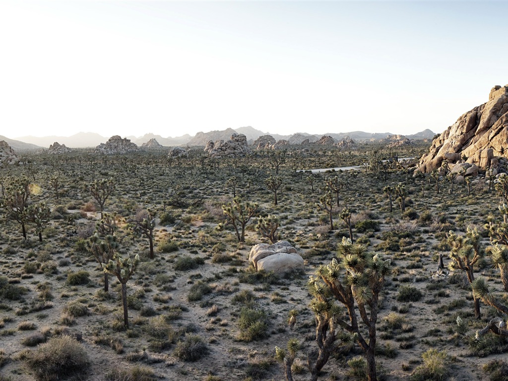 暑くて乾燥した砂漠、Windows 8のパノラマワイドスクリーンの壁紙 #9 - 1024x768