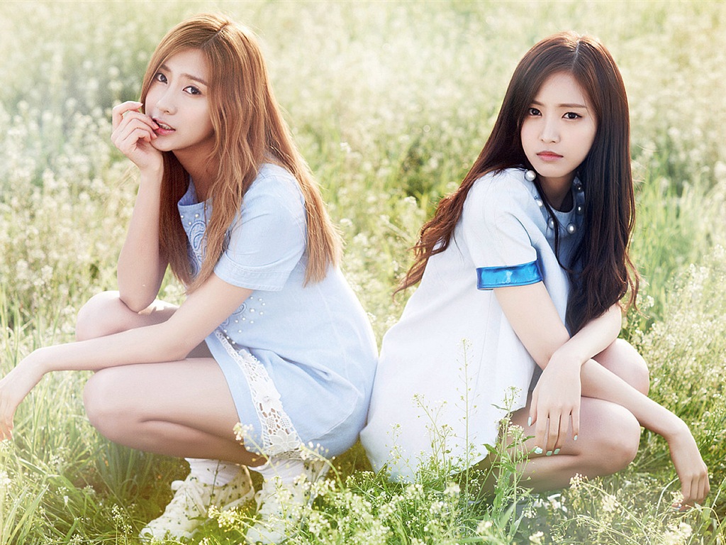 Korejský hudební dívčí skupina, růžové HD tapety na plochu #9 - 1024x768