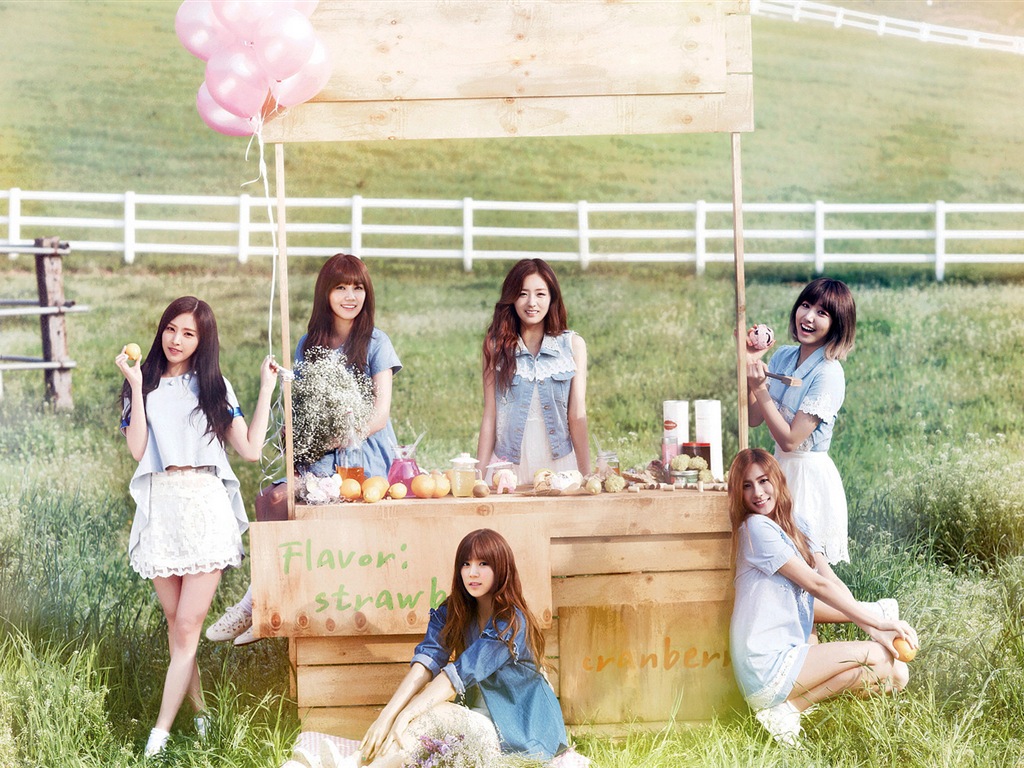 Groupe de musique de fille coréenne, A wallpapers HD rose #11 - 1024x768