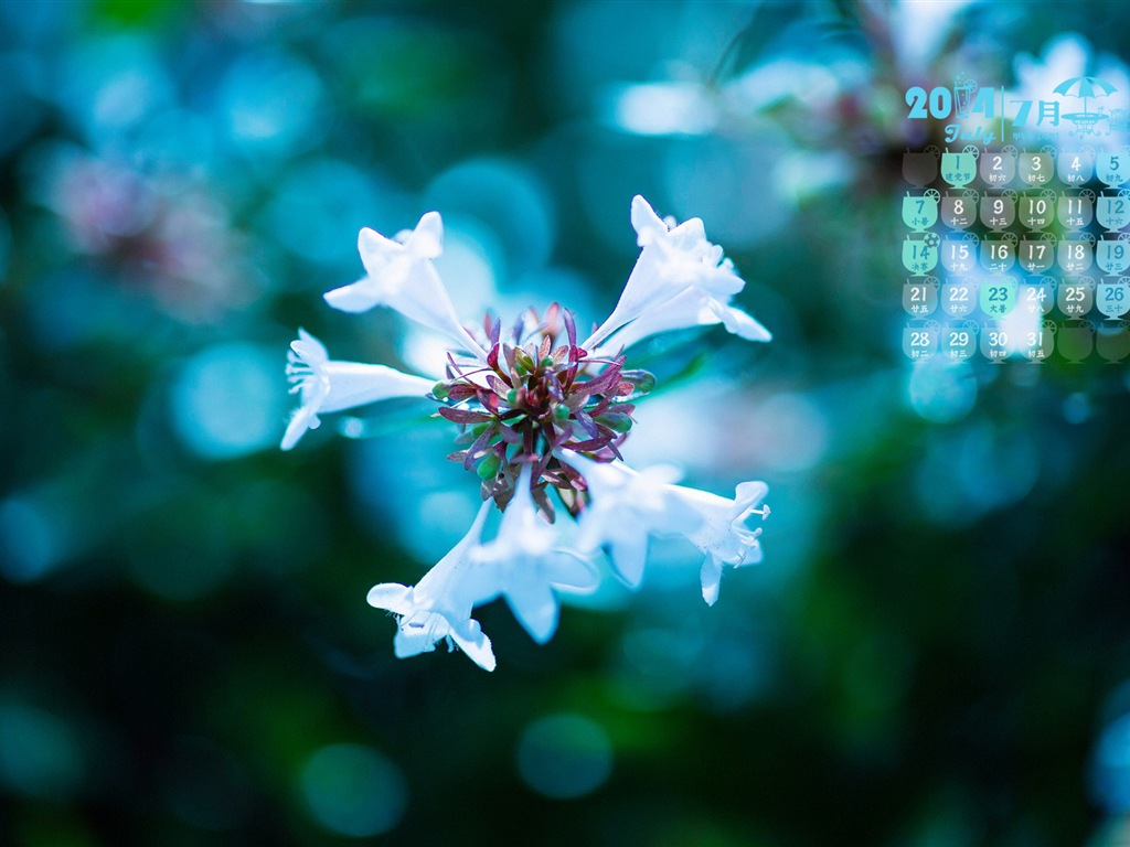 2014年7月 月曆壁紙(一) #18 - 1024x768