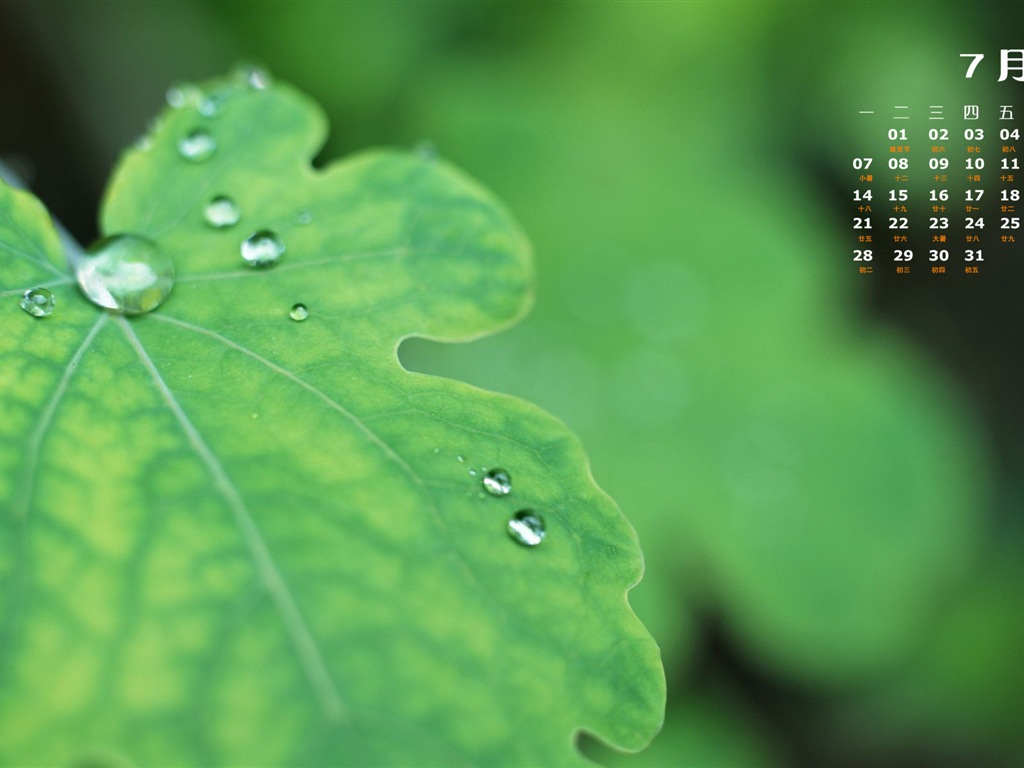 2014年7月 月曆壁紙(一) #20 - 1024x768