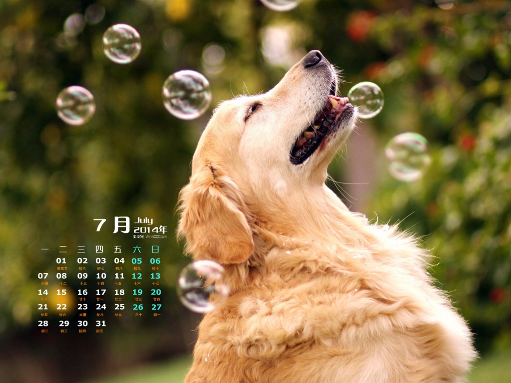 Juli 2014 Kalender Wallpaper (2) #11 - 1024x768