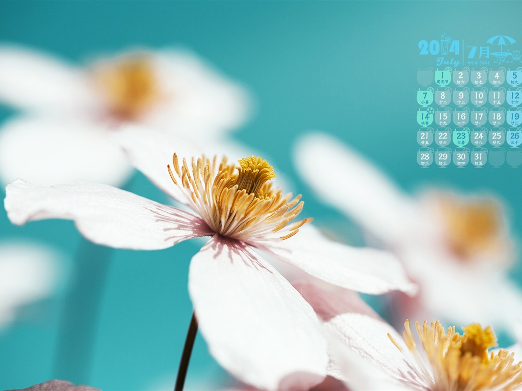 July 2014 calendar wallpaper (2) #18 - 1024x768