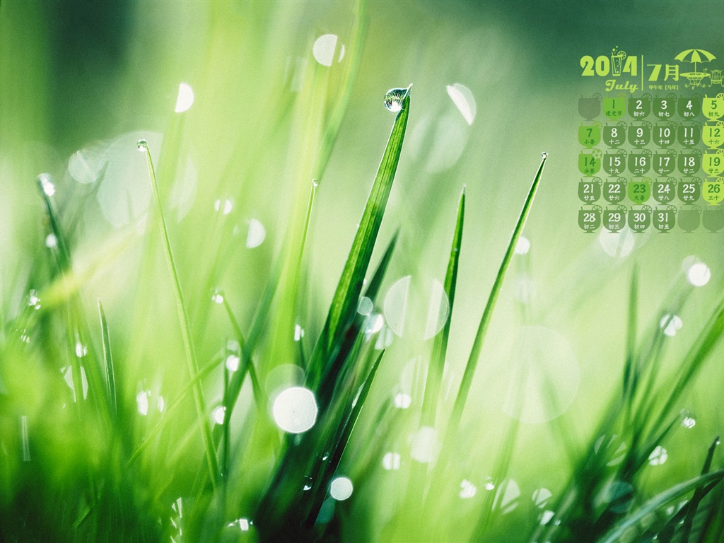 Juli 2014 Kalender Wallpaper (2) #20 - 1024x768